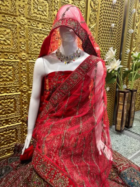 Velvet Lehenga with Stone Work and Machine Embroidery - Image 2